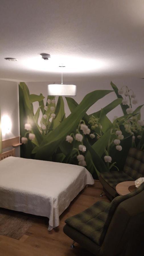 Viesu Nams Zala Sala Hotel Litavniki Bagian luar foto
