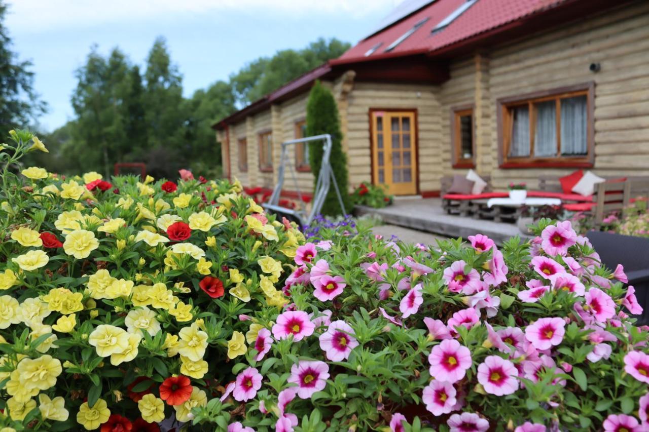 Viesu Nams Zala Sala Hotel Litavniki Bagian luar foto