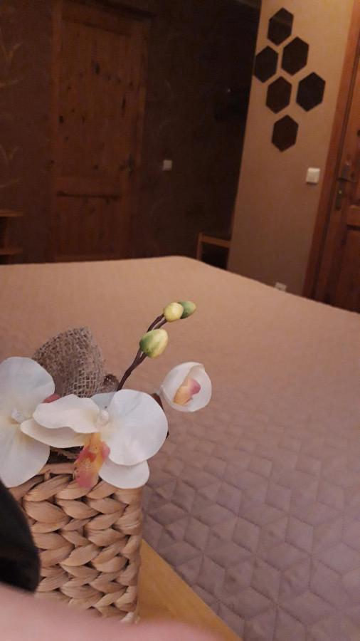 Viesu Nams Zala Sala Hotel Litavniki Bagian luar foto